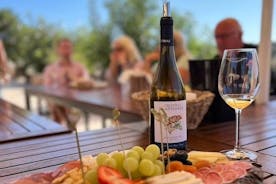 Exclusive Wine Tasting Experience in Porches (Algarve)