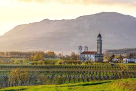Vipava Valley Wine Express-tour vanuit Ljubljana