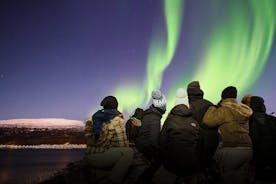 Polarlicht-Jagd mit professionellen Fotografen