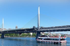 Bosporos cruisebåttur i İstanbul 3 timer og det gylne horn