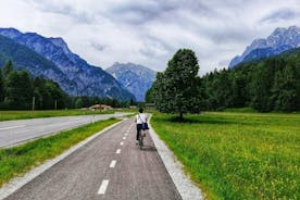 Excursão de bicicleta elétrica pelos Alpes Eslovenos saindo de Liubliana