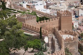 Granada en Alhambra vanuit de haven van Malaga (alleen cruisers)