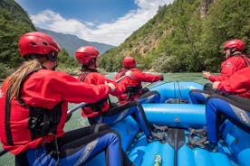 Tara Rafting heilsdagsferð