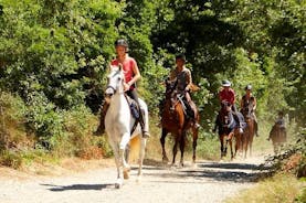 Halve dag paardrijden in Toscane