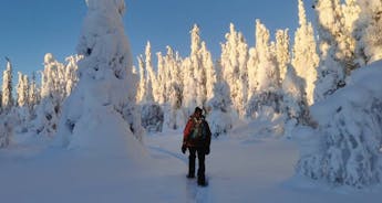 A Winter Dream on New Year's Eve in Swedish Lapland