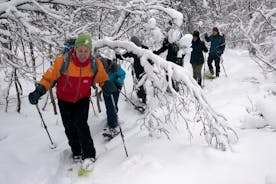 Caminhada Guiada com Raquetes de Neve na Ilha Tromsoya em Tromso