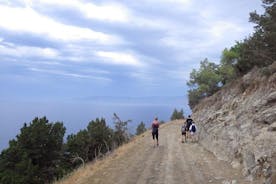 Akamas Panorama (kort) Walk (privat fra Paphos)