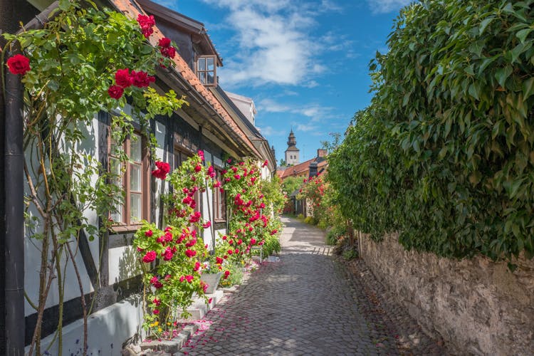 Medieval alley in the historic Hanse town Visby during summer in Sweden.