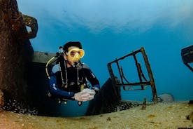 Plongée sous-marine amusante à Tenerife