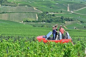 The Must-sees 3h30 from Epernay (Private Half day Champagne Tour)