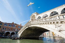 Gardajärveltä: Erityinen Venetsian matka yksityisellä laguunikierroksella veneellä