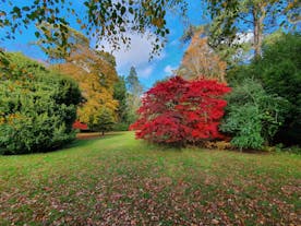 Westonbirt, The National Arboretum