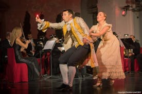 Noche exclusiva en el palacio de Schönbrunn: Visita con audioguía fuera del horario habitual, cena, concierto