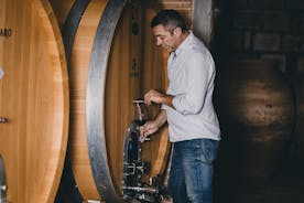 ヴェスヴィオ国立公園のワイン テイスティングとワイナリー ツアー (ランチ付き)