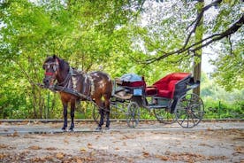 ヴレロ ボスネ自然公園での専用馬車乗車