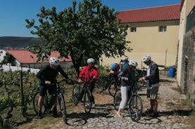 e-Bike Through Douro Valley Wine Region for Half Day Tour