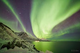 Excursión en minivan de la aurora boreal (8 personas por minivan)