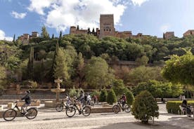 Tour in bici elettrica Albaicin e Sacramonte a Granada