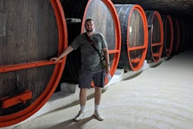 Het beste van Moldavië: Cricova Winery & Old Orhei Tour inclusief Curchi-klooster