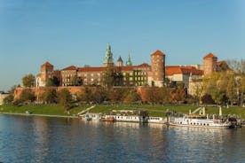 Panorama van Krakau vanaf de rivier de Vistula tijdens een cruise van een uur