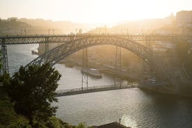 Porto privat tur med kryssning och besök på vinkällare