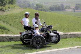 Privat vingårdstur og vinsmaking fra Saint-Emilion