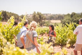 Excursión a Montserrat con Comida y Cata de Vinos Gourmet 