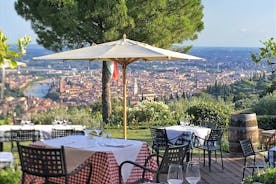 Degustação de vinhos com vista panorâmica de Verona