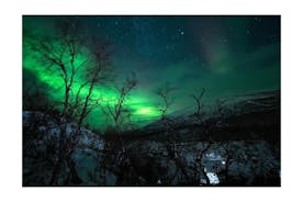 Tour privado de auroras boreales Kiruna Abisko con comida callejera