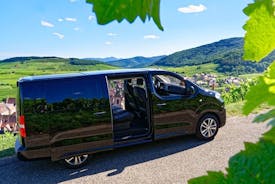 Privat minivan-overføring fra Strasbourg-området til Frankfurt lufthavn