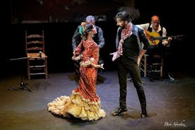 Flamenco Show -liput Triana Flamenco -teatteriin