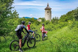 バラツ洞窟のあるプリトヴィッツェの田園地帯の自転車ツアー