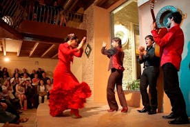 Flamenco sýning á Casa de la Memoria Aðgangsmiði