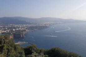 Excursão privada de um dia a Pompeia, vinícola, Sorrento de Napoli/Salerno/Amalfi/Positano