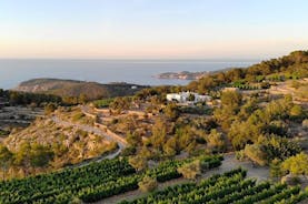 Tutustu Ibizan rikkaan viinikulttuurin olemukseen
