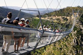 Tour di un giorno del ponte sospeso di Arouca e della passerella di Paiva da Porto