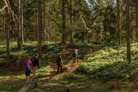 Half-Day Wildlife Forest HIke