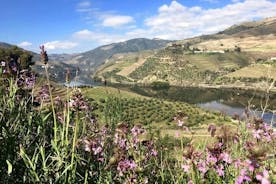 Douro Valley and Régua Panoramic Cruise with Lunch from Porto