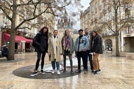 Bordeaux Walking Tour - Privat