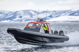 Private Kreuzfahrt mit einem Hochgeschwindigkeits-RIB in Norwegen