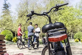 Tour in bici elettrica di 3 ore a Porto