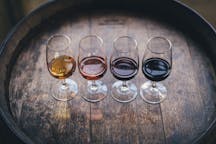Experiências de prova de vinhos em San Gimignano, Itália