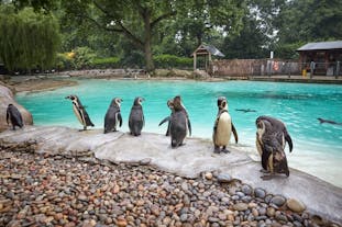 London Zoo