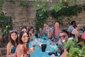 Krka-watervallen, eten en wijn proeven, boottocht en de oude binnenstad van Zadar