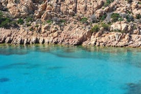 Heldagstur ombord på en Gozzo i Asinara - afhentning fra Alghero