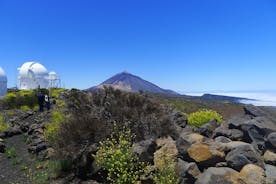 Excursão Astronômica em Grupos Pequenos no Observatório de Tenerife Teide