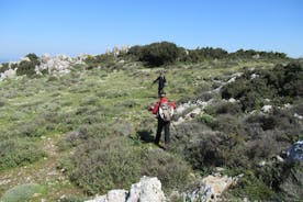 4-timers Giouchtas Trekking Vandreoplevelse fra Heraklion