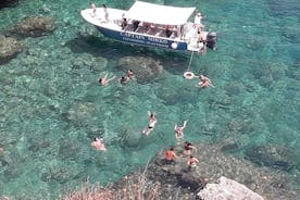 オルティージャ島のプライベート ウォーキング ツアーと食事とワイン付きのプライベート ボート ツアー