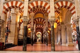 Excursão privada: Viagem de um dia de Madrid a Córdoba em trem de alta velocidade