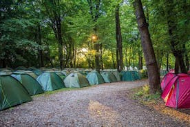 Arrangement all-inclusive camping München op het Oktoberfest